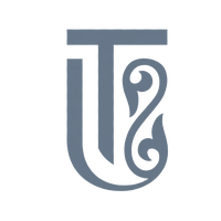 Toraighyrov University